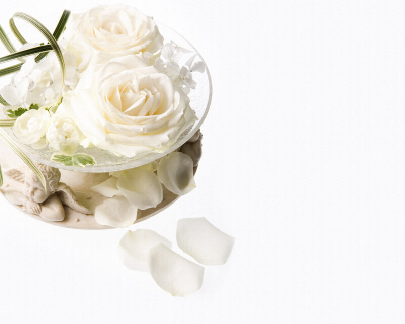 White Roses in Bowl