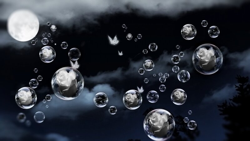 White Roses in Bubbles