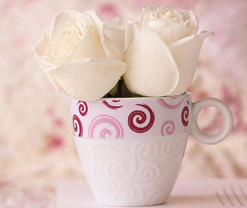 White Roses in Cup
