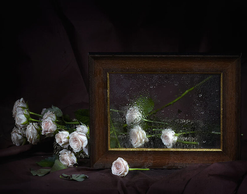 White Roses in Frame
