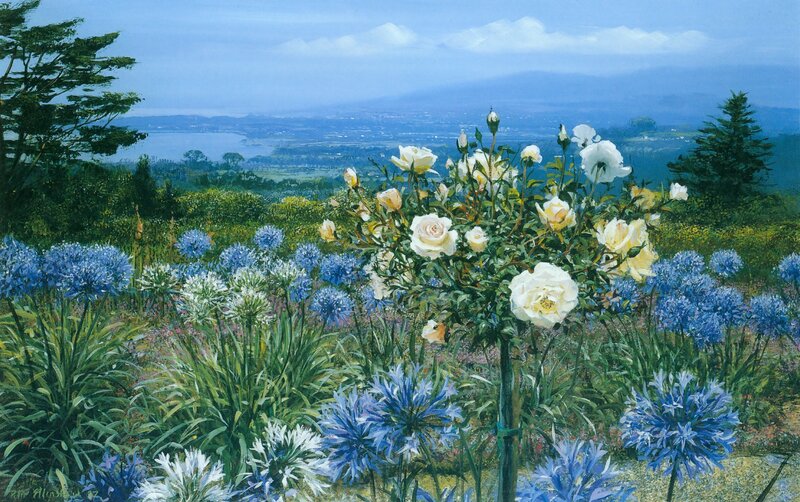 White Roses in Garden — Blue