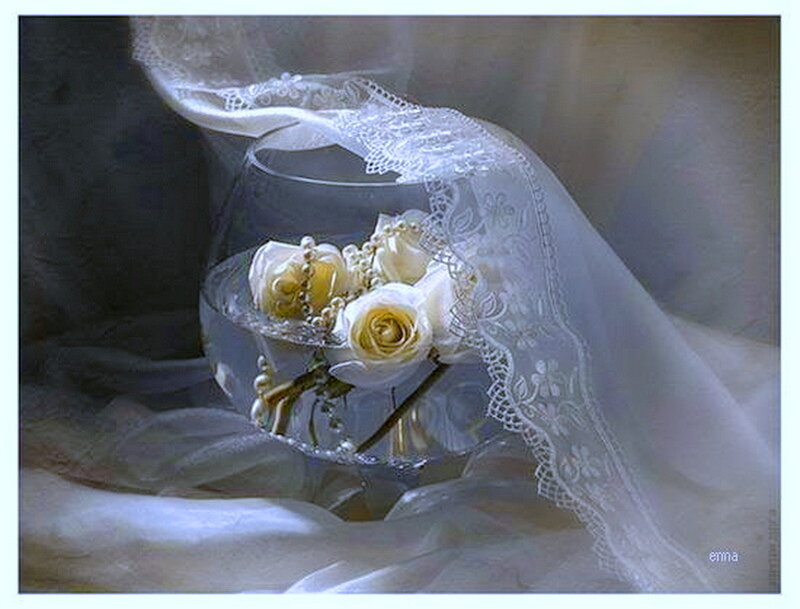 White Roses in Glass Bowl — Serene