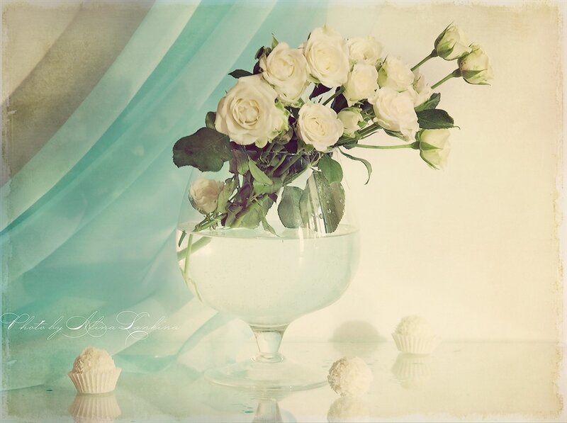 White Roses in Glass Vase — Serene