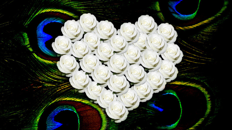 White Roses in Heart Shape