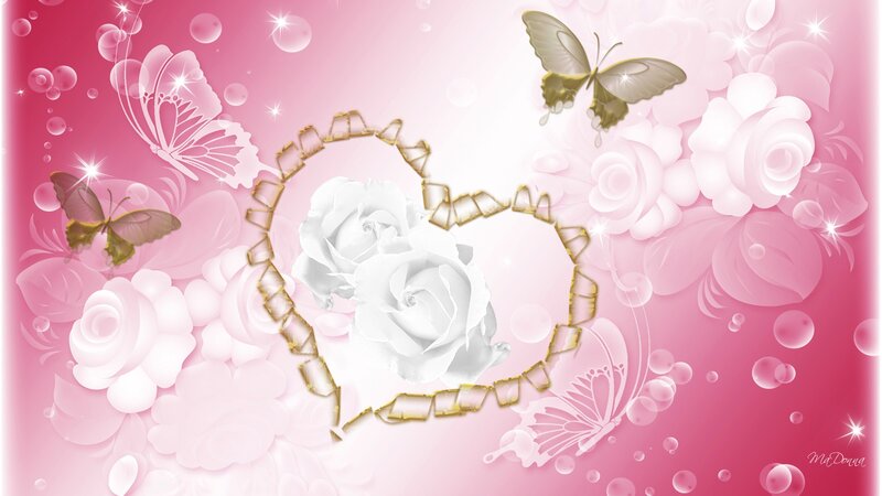 White Roses in Heart