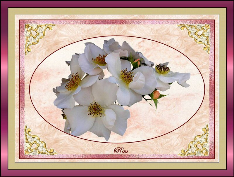 White Roses in Oval Frame