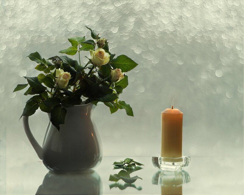 White Roses in Pitcher — Serene, Photograph, Candle