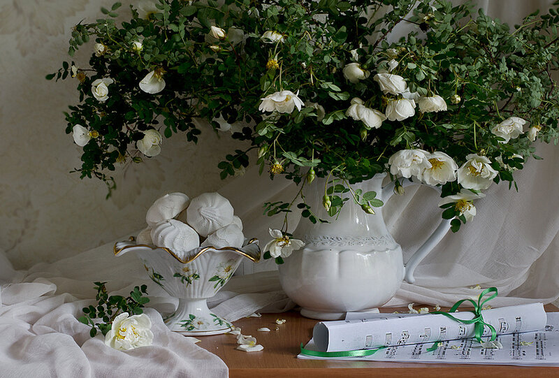 White Roses in Pitcher — Serene, Photograph, Marzipan