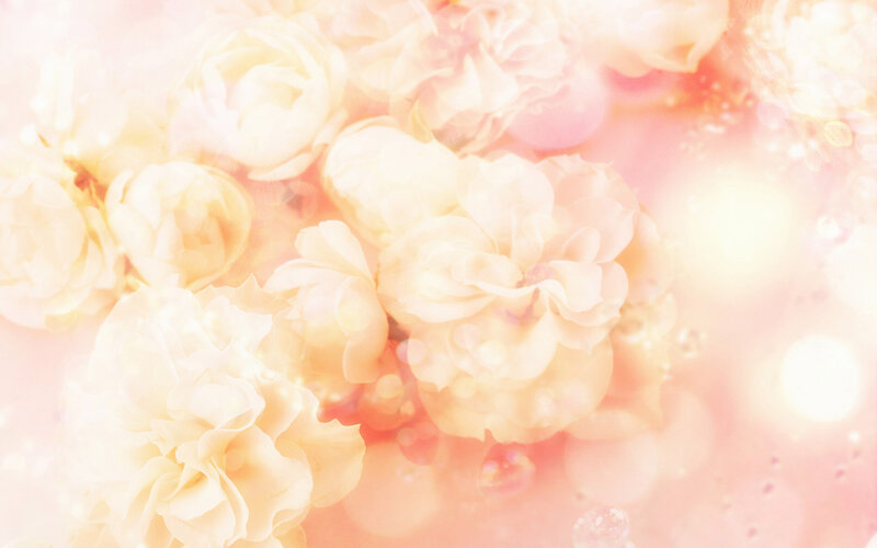 White Roses in Soft Light — Pink