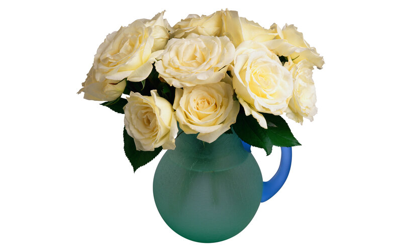 White Roses in Vase — Calm, Photograph, Flowers, Leaves