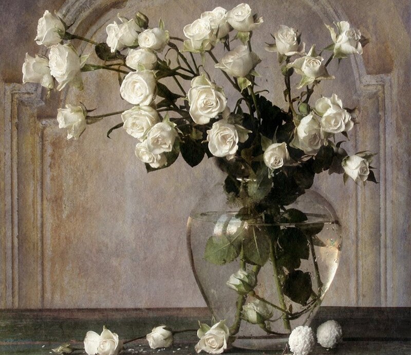 White Roses in Vase — Calm