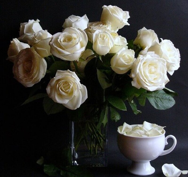 White Roses in Vase — Dramatic, Photograph, Cup