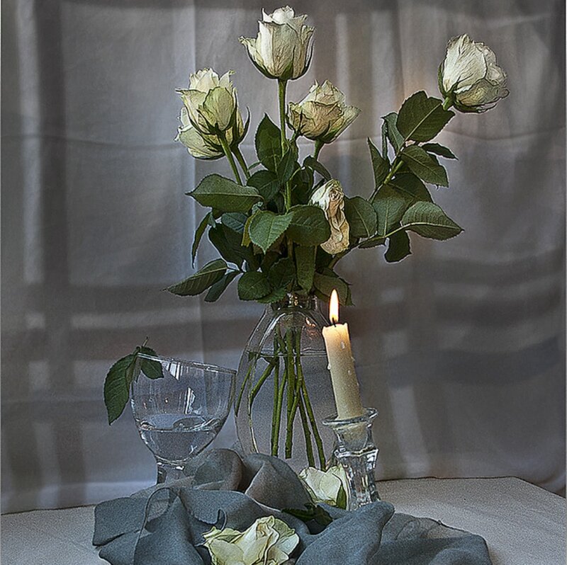 White Roses in Vase — Gray