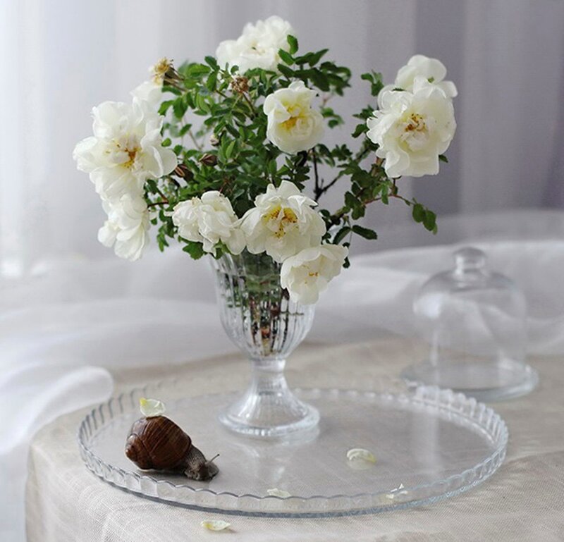White Roses in Vase — Serene, Morning, Photograph, Snail