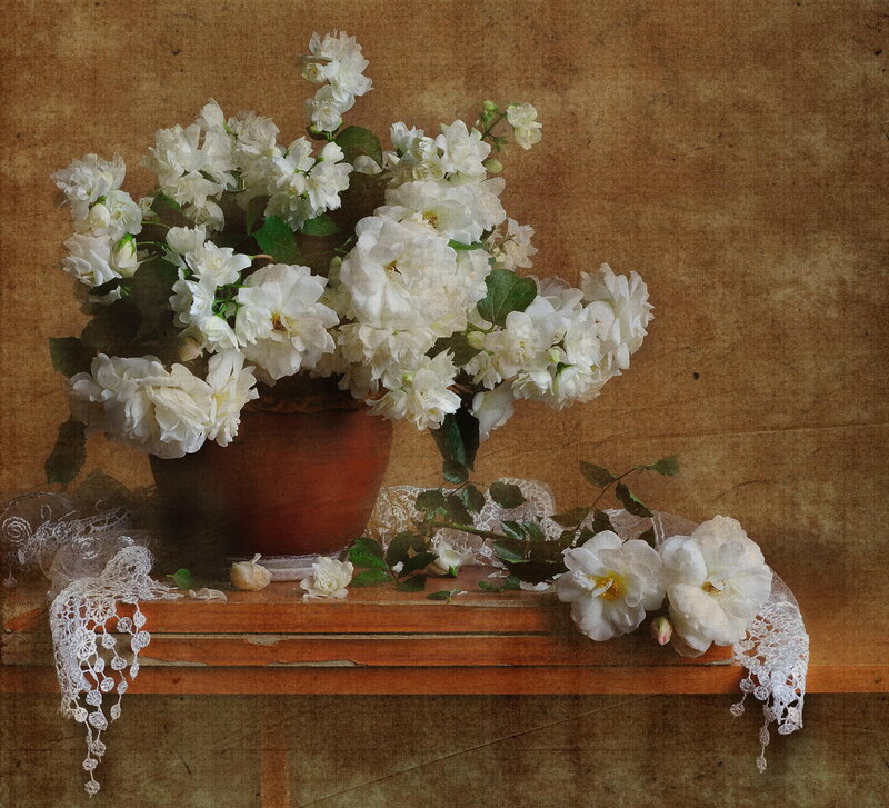 White Roses in Vase — Serene, Photograph, Lace, Wooden Table