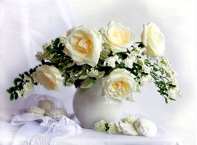 White Roses in Vase — Serene, Photograph, Seashells
