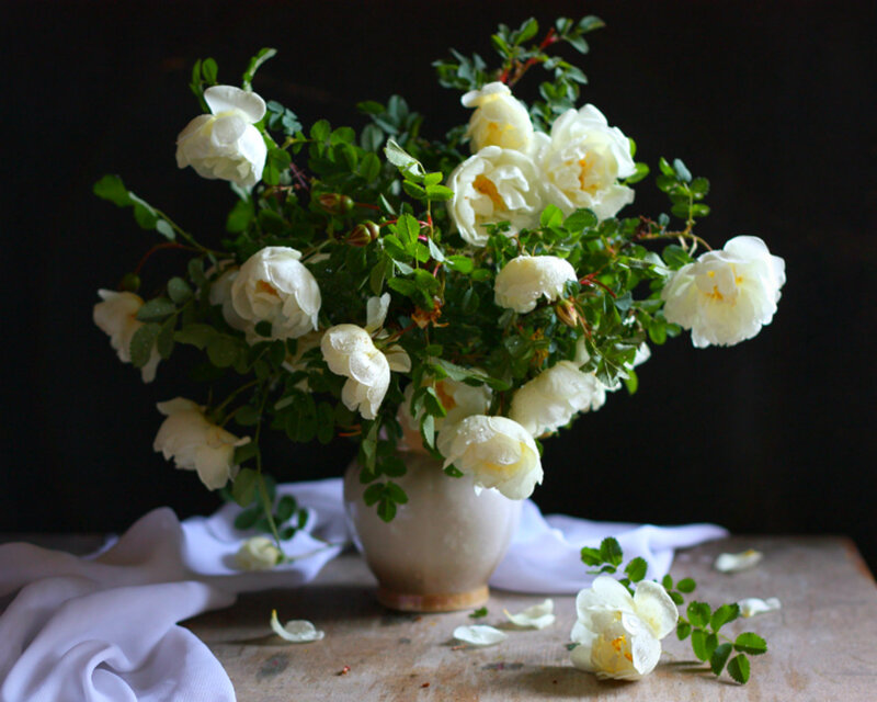 White Roses in Vase — Serene, Photograph, Table
