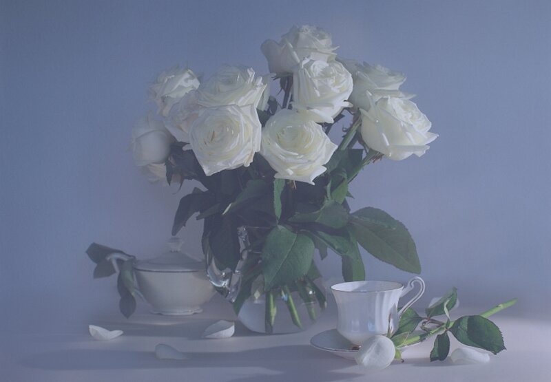 White Roses in Vase — Serene, Photograph, Teacup