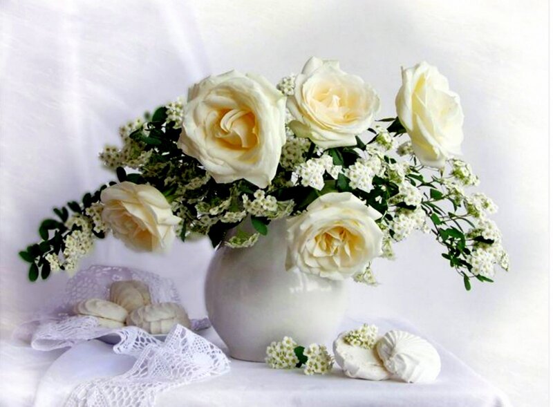 White Roses in Vase — Serene