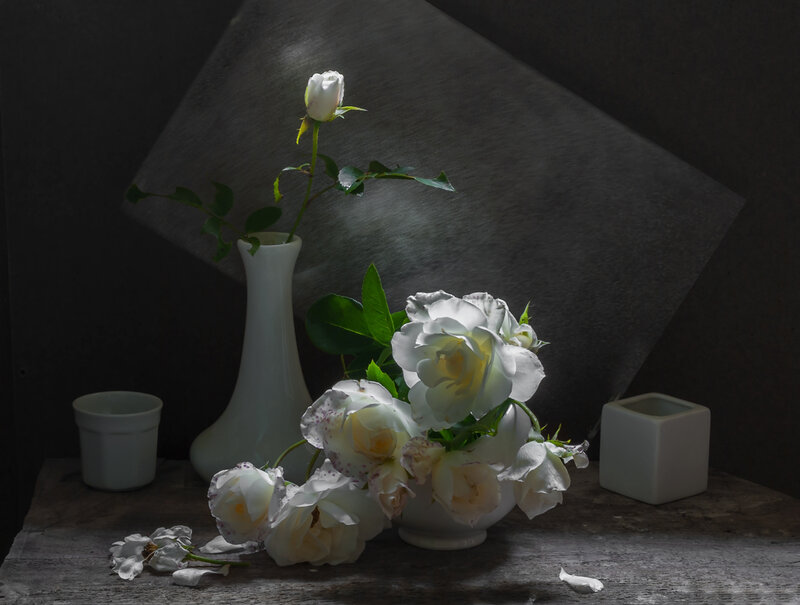 White Roses in Vases — Dramatic