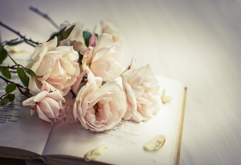 White Roses on Book — Serene