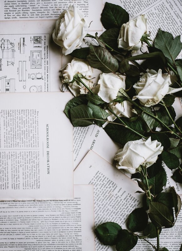 White Roses on Books — Calm