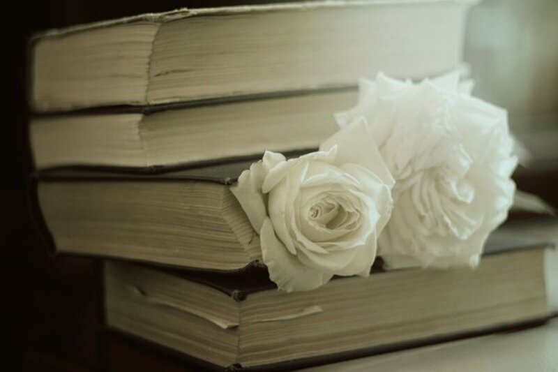 White Roses on Books