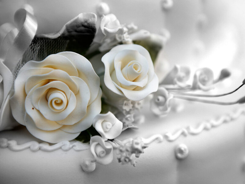 White Roses on Cake — Elegant