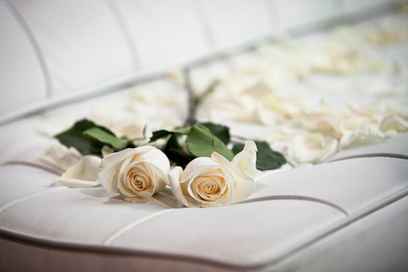 White Roses on Couch
