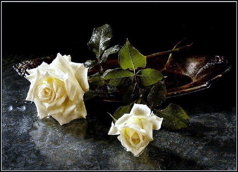 White roses on dark stone