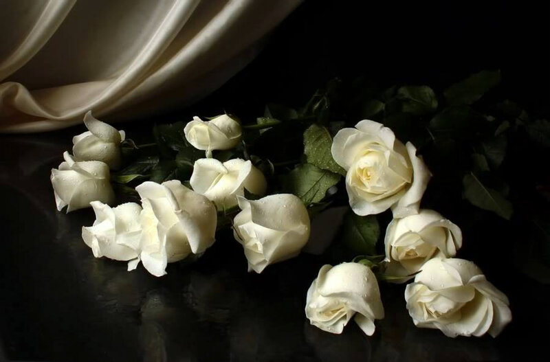 White roses on dark surface