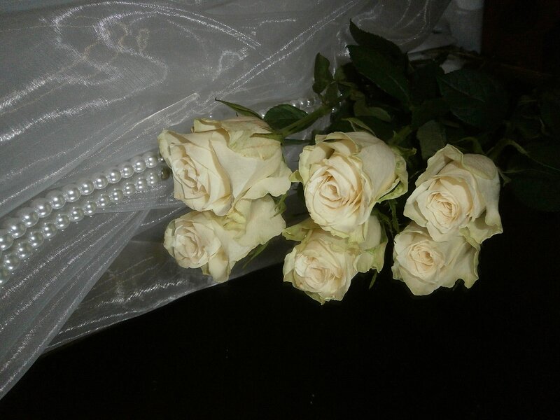 White Roses on Fabric — Serene, Photograph