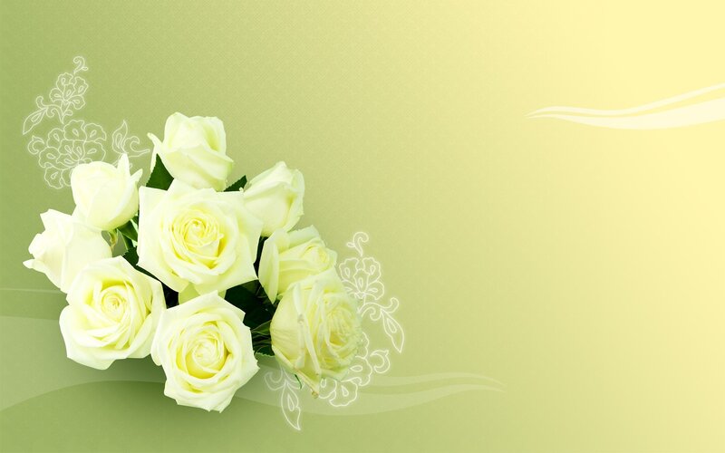 white roses on green background