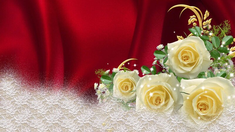 White Roses on Lace