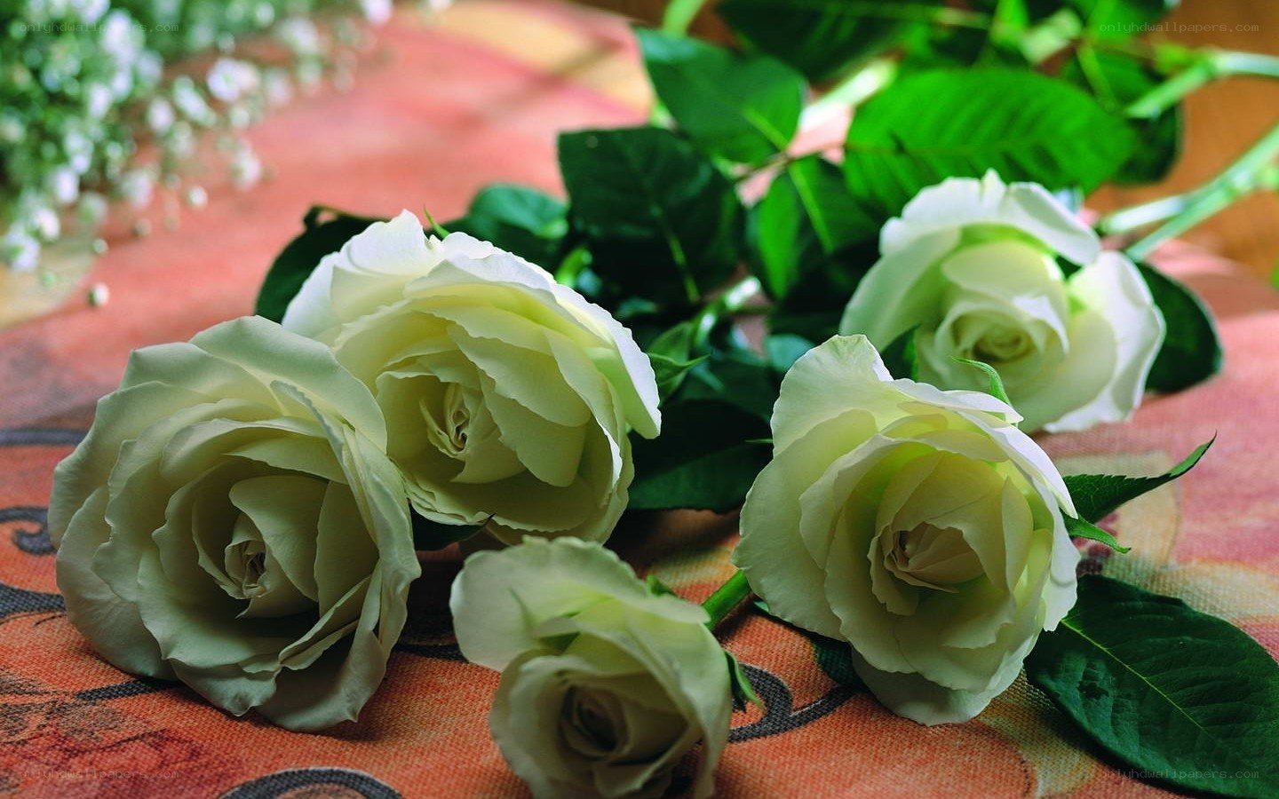White roses on patterned fabric