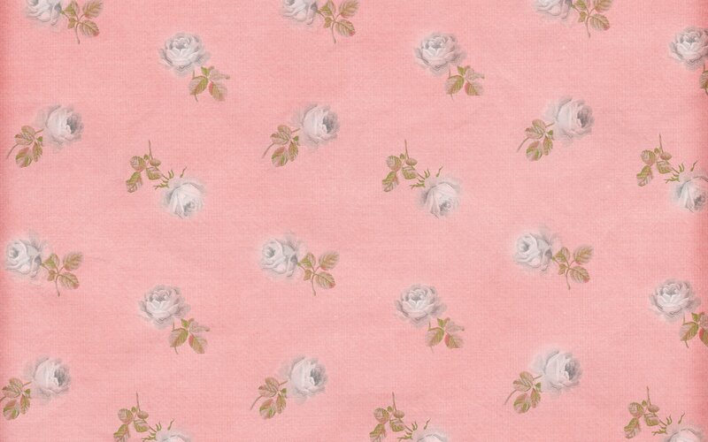 White Roses on Pink Fabric — Calm
