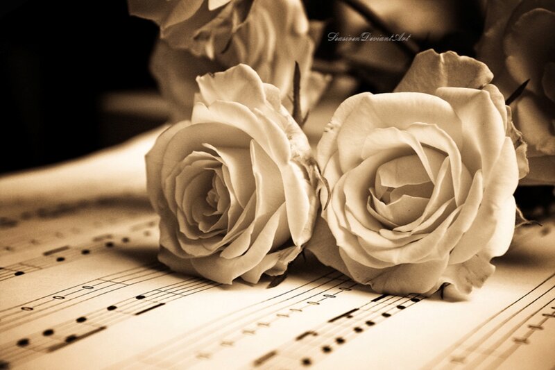 White Roses on Sheet Music — Brown