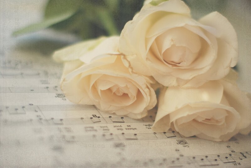 White Roses on Sheet Music — Cream