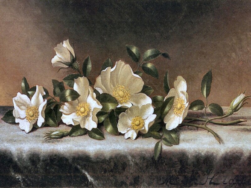 White Roses on Stone — Calm