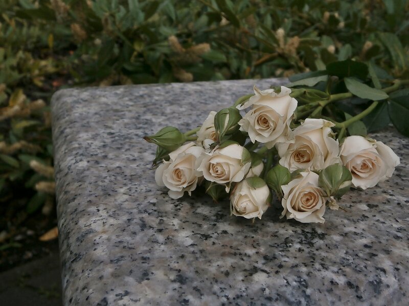 White Roses on Stone — Somber