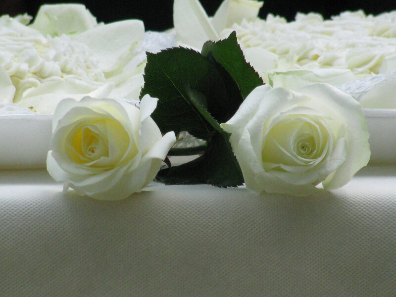 White Roses on Table — Serene
