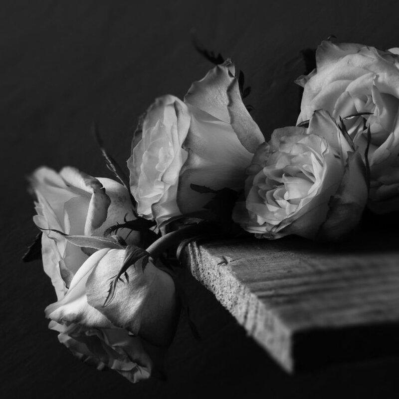 White Roses on Wood — Black