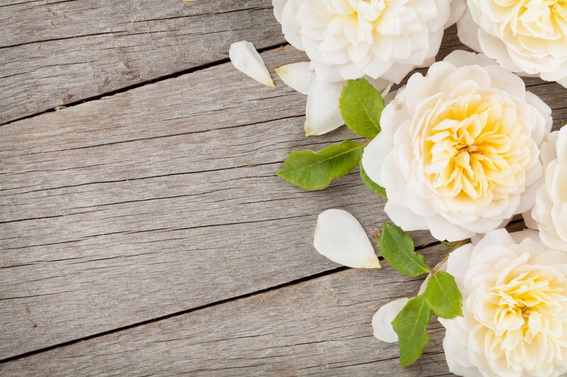 White Roses on Wood — Calm, Photograph