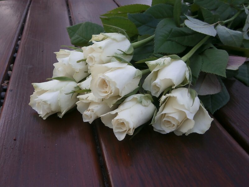 White Roses on Wood — Calm