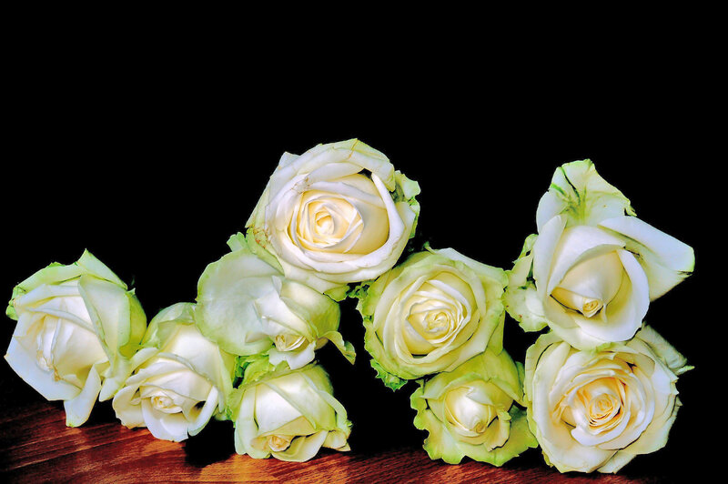 White Roses on Wood — Dramatic