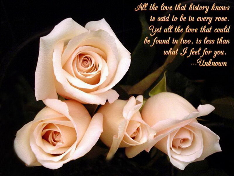 White Roses — Romantic