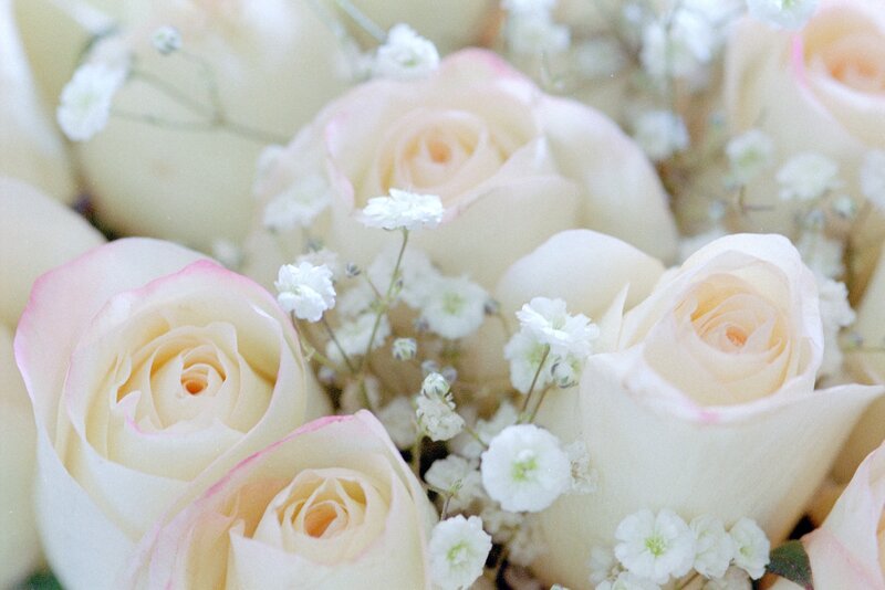 White Roses with Baby's Breath — Serene