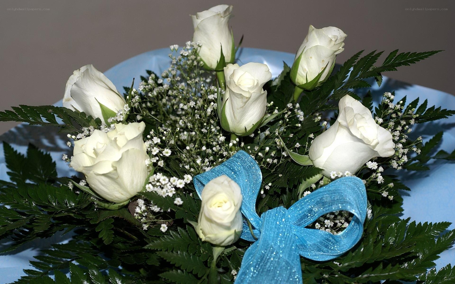 white roses with blue ribbon
