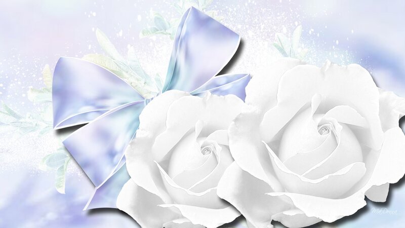White Roses with Bow