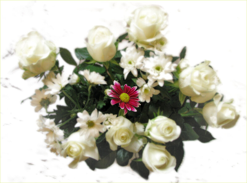 White Roses with Daisy